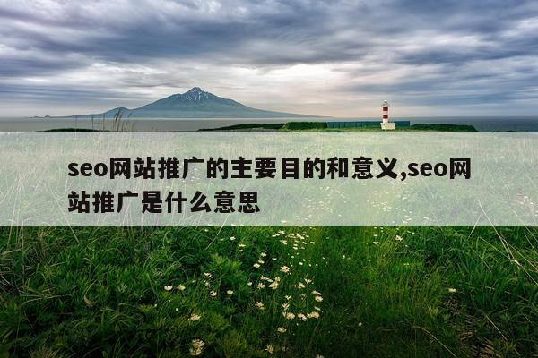 seo网站推广的主要目的和意义,seo网站推广是什么意思