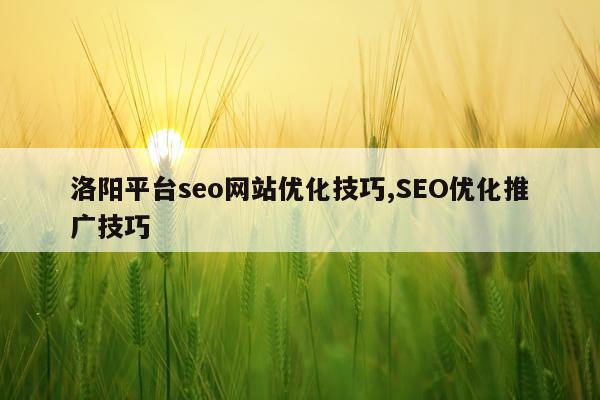 洛阳平台seo网站优化技巧,SEO优化推广技巧