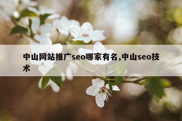 中山网站推广seo哪家有名,中山seo技术