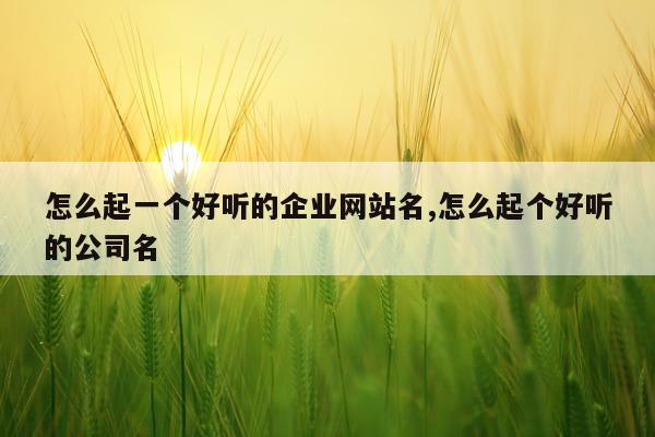 怎么起一个好听的企业网站名,怎么起个好听的公司名