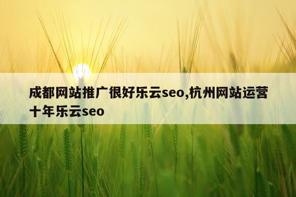 成都网站推广很好乐云seo,杭州网站运营十年乐云seo