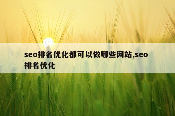 seo排名优化都可以做哪些网站,seo 排名优化