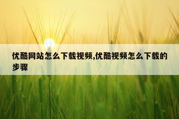 优酷网站怎么下载视频,优酷视频怎么下载的步骤