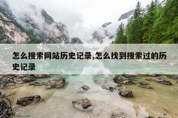 怎么搜索网站历史记录,怎么找到搜索过的历史记录