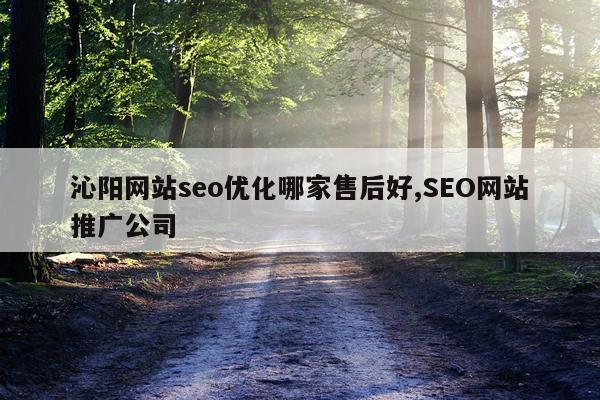 沁阳网站seo优化哪家售后好,SEO网站推广公司