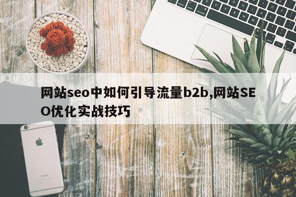 网站seo中如何引导流量b2b,网站SEO优化实战技巧