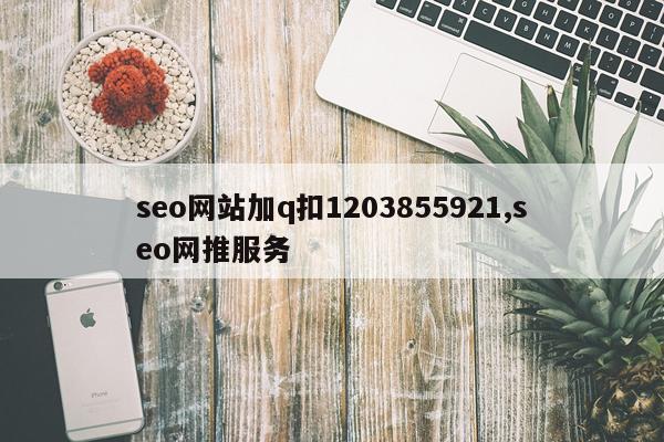 seo网站加q扣1203855921,seo网推服务