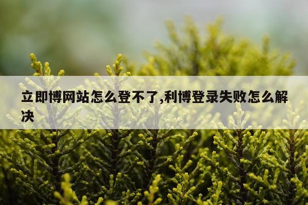 立即博网站怎么登不了,利博登录失败怎么解决