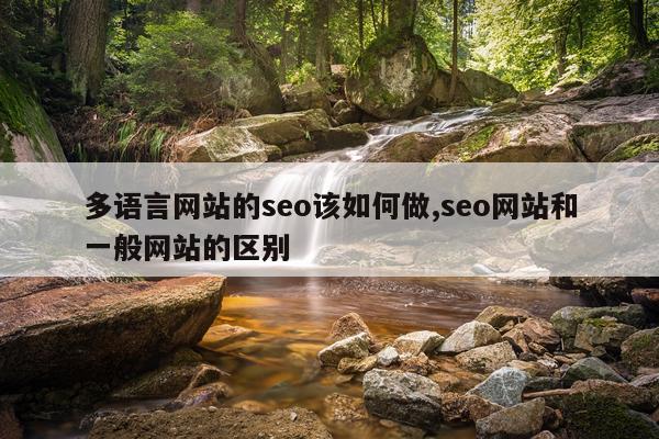 多语言网站的seo该如何做,seo网站和一般网站的区别