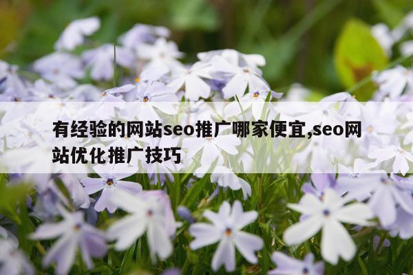 有经验的网站seo推广哪家便宜,seo网站优化推广技巧
