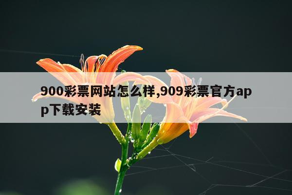 900彩票网站怎么样,909彩票官方app下载安装