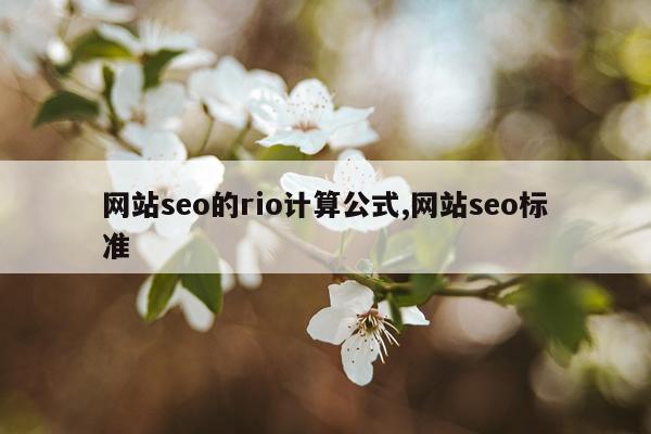 网站seo的rio计算公式,网站seo标准