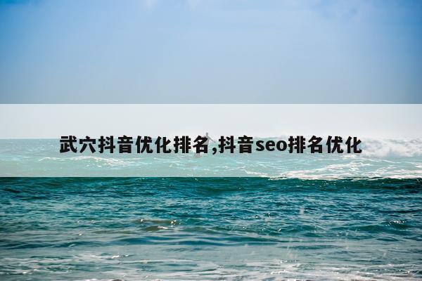 武穴抖音优化排名,抖音seo排名优化