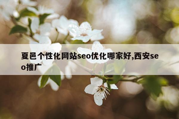 夏邑个性化网站seo优化哪家好,西安seo推广