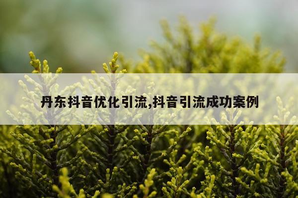 丹东抖音优化引流,抖音引流成功案例