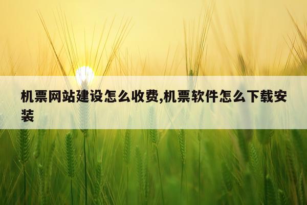 机票网站建设怎么收费,机票软件怎么下载安装
