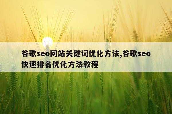 谷歌seo网站关键词优化方法,谷歌seo快速排名优化方法教程