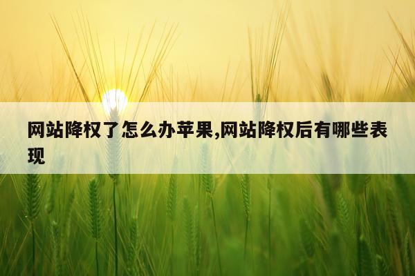 网站降权了怎么办苹果,网站降权后有哪些表现