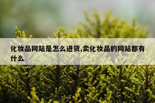 化妆品网站是怎么进货,卖化妆品的网站都有什么