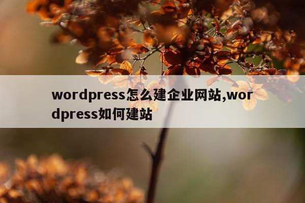 wordpress怎么建企业网站,wordpress如何建站