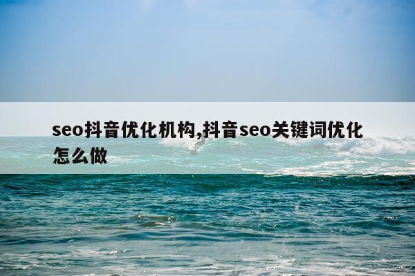 seo抖音优化机构,抖音seo关键词优化怎么做