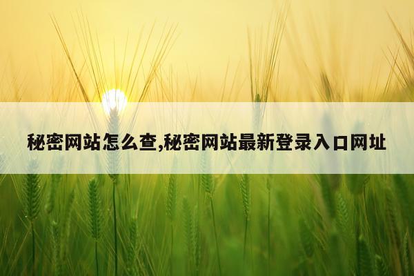 秘密网站怎么查,秘密网站最新登录入口网址