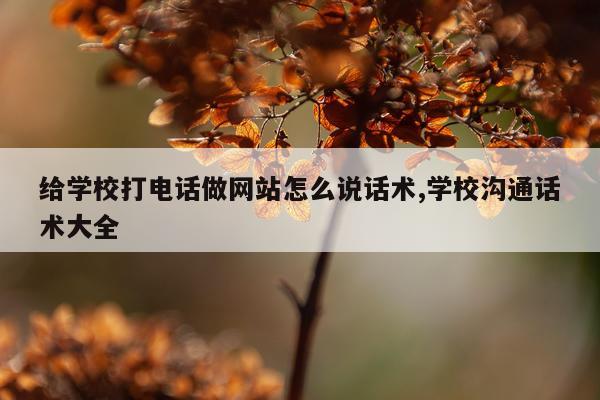 给学校打电话做网站怎么说话术,学校沟通话术大全
