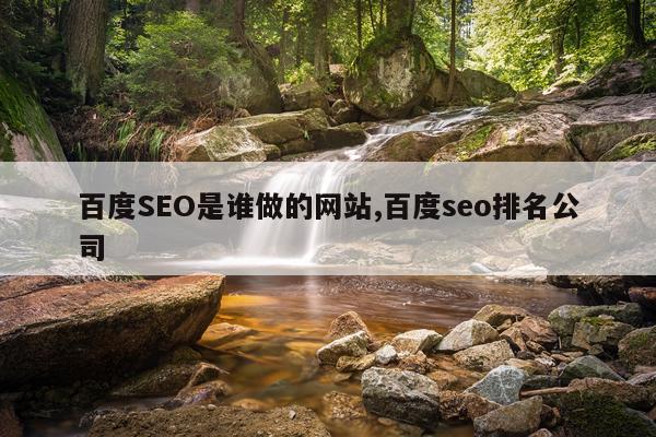 百度SEO是谁做的网站,百度seo排名公司