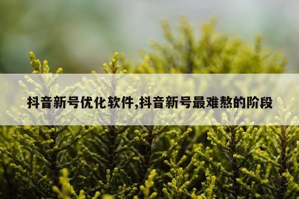 抖音新号优化软件,抖音新号最难熬的阶段