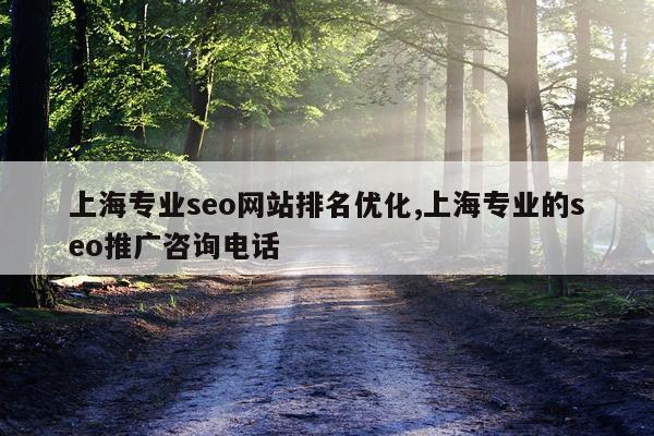上海专业seo网站排名优化,上海专业的seo推广咨询电话