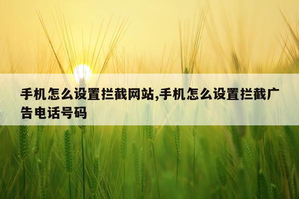 手机怎么设置拦截网站,手机怎么设置拦截广告电话号码