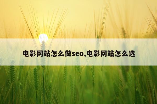 电影网站怎么做seo,电影网站怎么选