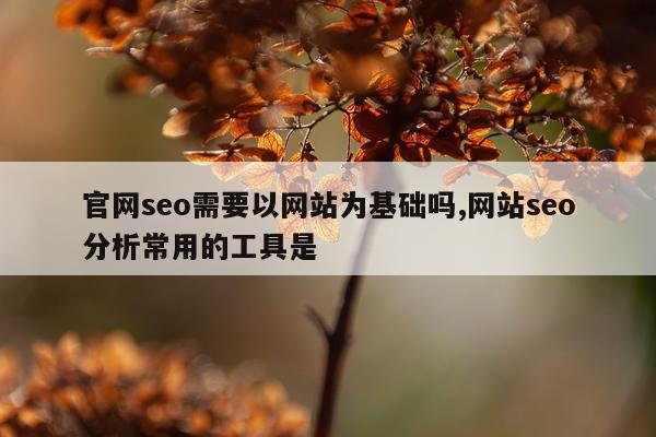 官网seo需要以网站为基础吗,网站seo分析常用的工具是