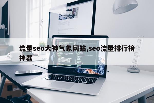 流量seo大神气象网站,seo流量排行榜神器