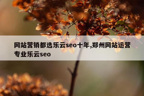 网站营销都选乐云seo十年,郑州网站运营专业乐云seo