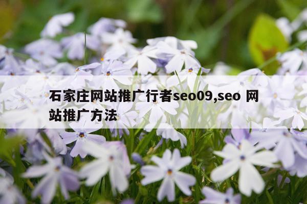 石家庄网站推广行者seo09,seo 网站推广方法