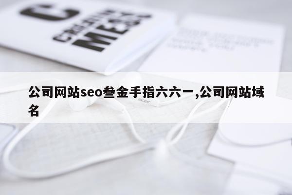 公司网站seo叁金手指六六一,公司网站域名