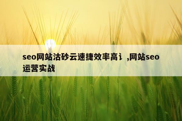 seo网站沽砂云速捷效率高讠,网站seo运营实战