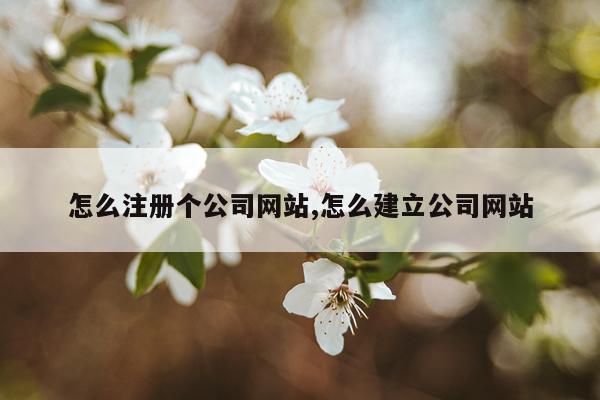 怎么注册个公司网站,怎么建立公司网站