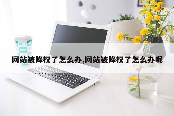 网站被降权了怎么办,网站被降权了怎么办呢