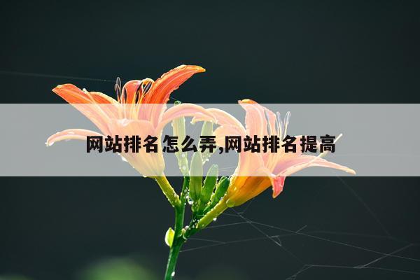 网站排名怎么弄,网站排名提高