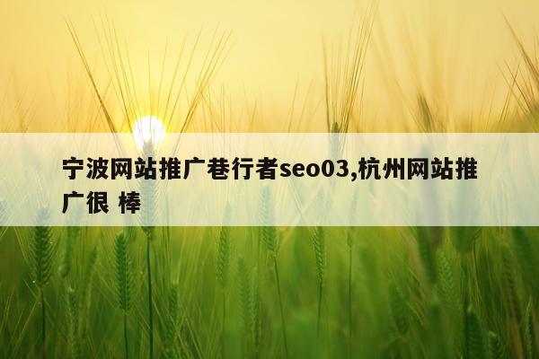 宁波网站推广巷行者seo03,杭州网站推广很 棒