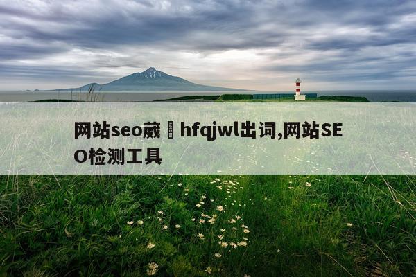 网站seo葳訫hfqjwl出词,网站SEO检测工具