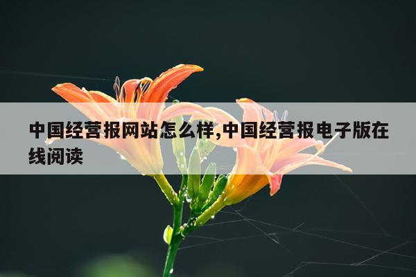 中国经营报网站怎么样,中国经营报电子版在线阅读