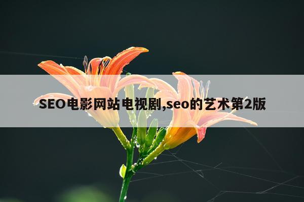 SEO电影网站电视剧,seo的艺术第2版