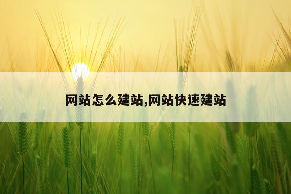 网站怎么建站,网站快速建站