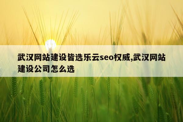 武汉网站建设皆选乐云seo权威,武汉网站建设公司怎么选