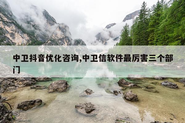 中卫抖音优化咨询,中卫信软件最厉害三个部门