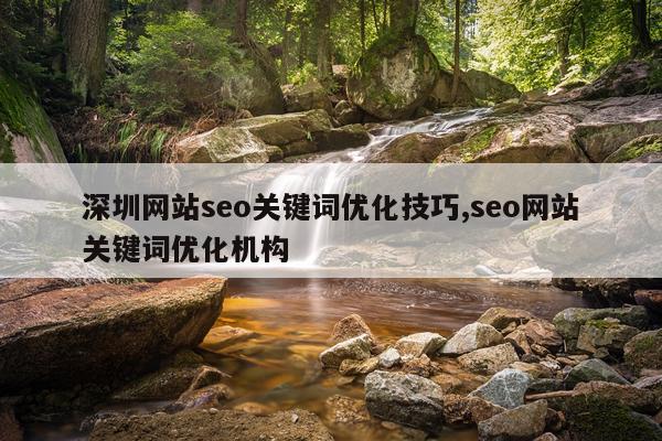 深圳网站seo关键词优化技巧,seo网站关键词优化机构