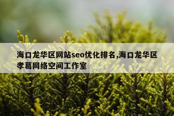 海口龙华区网站seo优化排名,海口龙华区孝葛网络空间工作室
